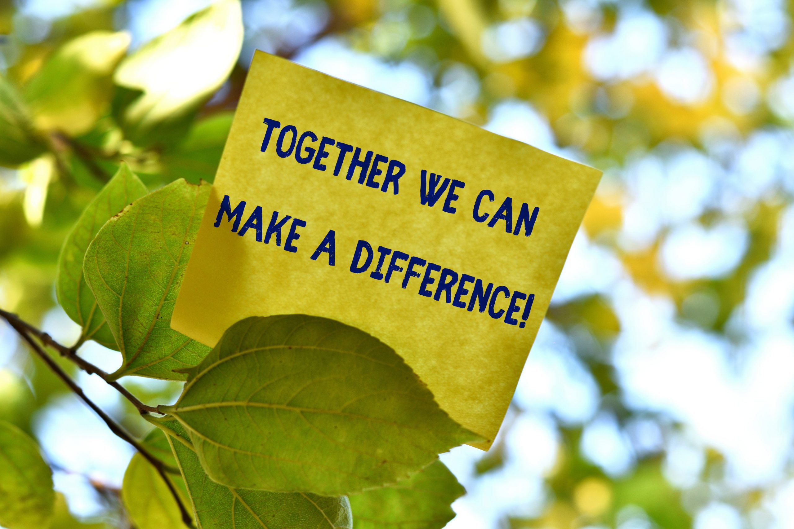 Together We Can Make A Difference. Business photo showcasing be very important some way in like team or group Piece of square paper use to give notation on tree leaf under sunny day