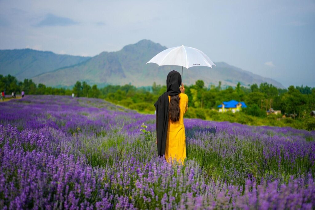 A woman in a mustard-yellow dress and black scarf stands with a white umbrella in a sea of blooming lavender, gazing towards the hazy mountains of Kashmir under a soft, overcast sky.