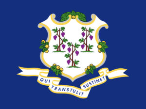 connecticut flag image