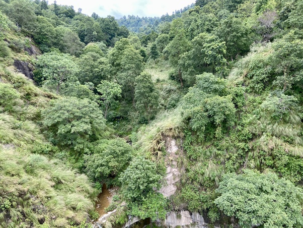 haridwar hillside image