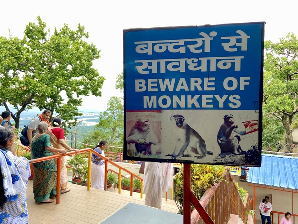 haridwar beware of monkey sign