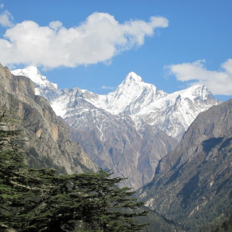 himalaya near gangotri image