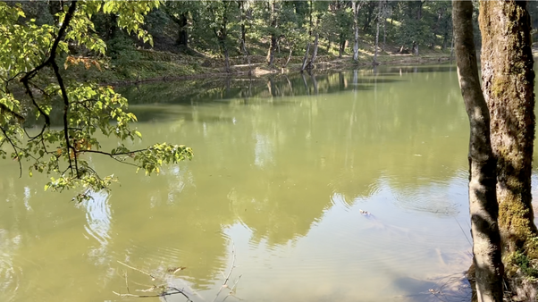 nachiketa tal image