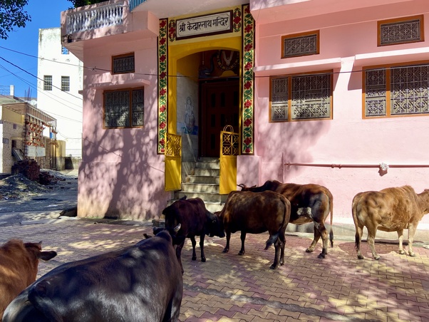 uttarkashi temple image